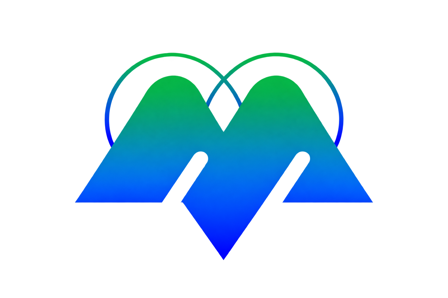About MAXINS Technologies
